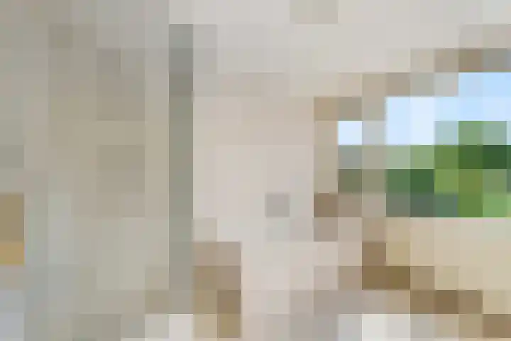 Jodichemdreef 42 Odijk thumbnail 48