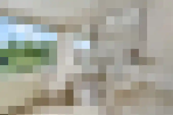 Jodichemdreef 42 Odijk thumbnail 49