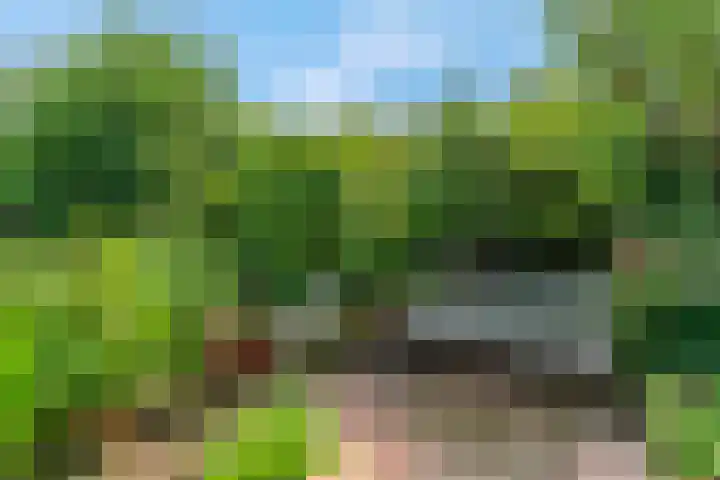 Jodichemdreef 42 Odijk thumbnail 51