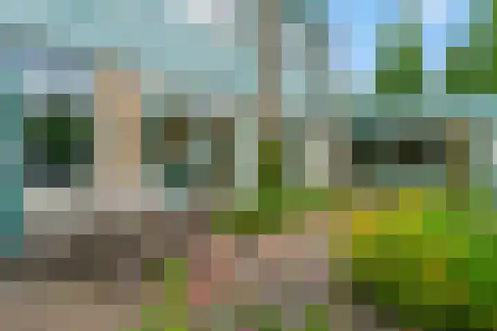 Jodichemdreef 42 Odijk thumbnail 55