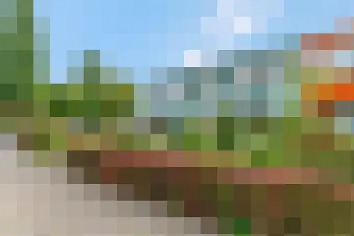 Jodichemdreef 42 Odijk thumbnail 57