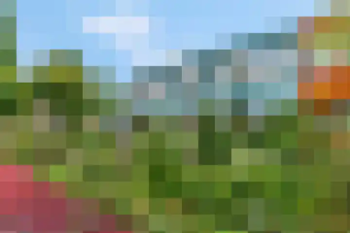 Jodichemdreef 42 Odijk thumbnail 58