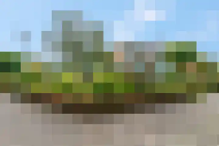 Jodichemdreef 42 Odijk thumbnail 59