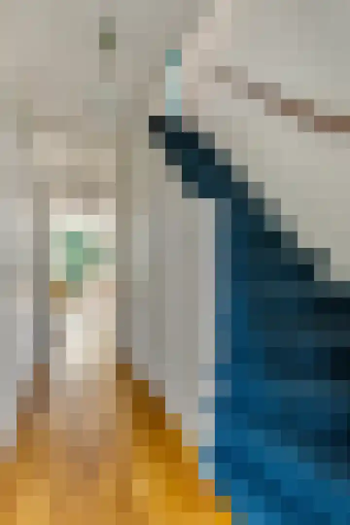 Jodichemdreef 42 Odijk thumbnail 6