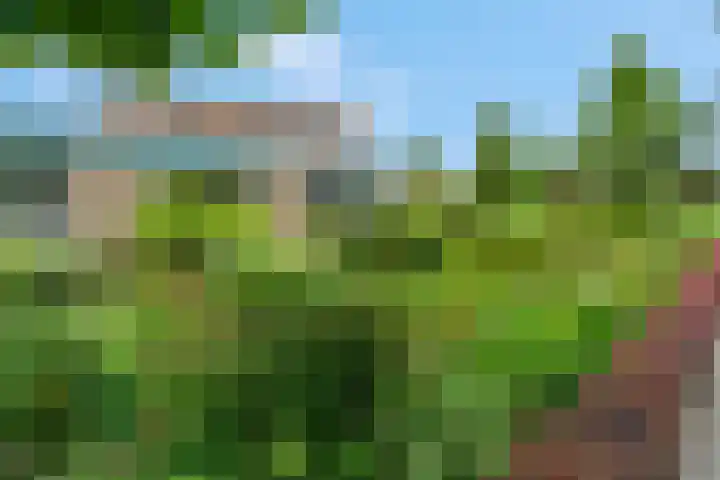 Jodichemdreef 42 Odijk thumbnail 61