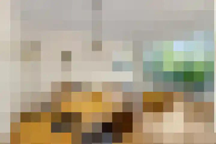 Jodichemdreef 42 Odijk thumbnail 7