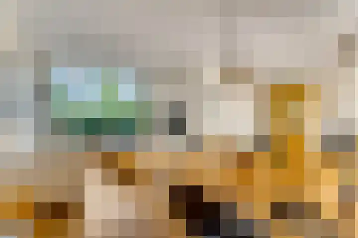 Jodichemdreef 42 Odijk thumbnail 8