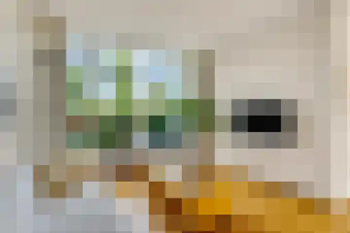 Jodichemdreef 42 Odijk thumbnail 9