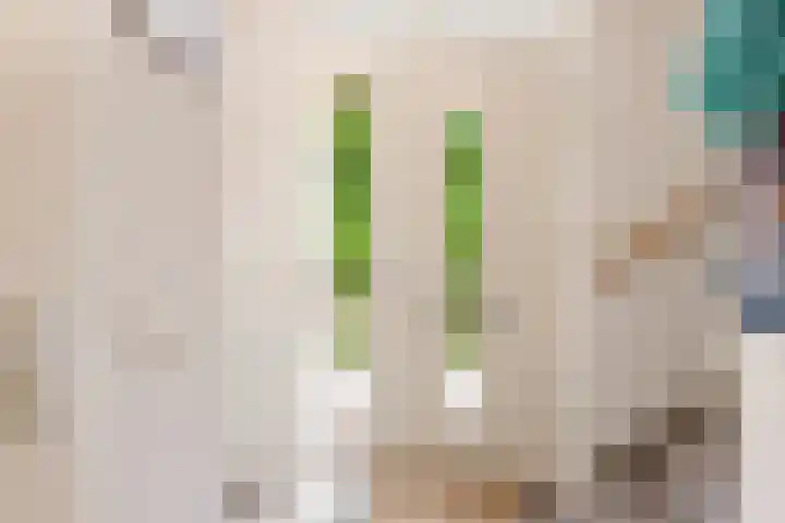 Jodichemdreef 7 Odijk thumbnail 10