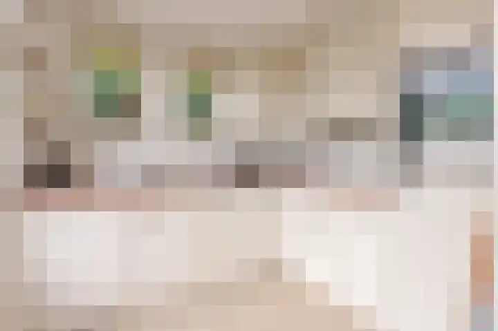 Jodichemdreef 7 Odijk thumbnail 21