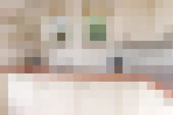 Jodichemdreef 7 Odijk thumbnail 22