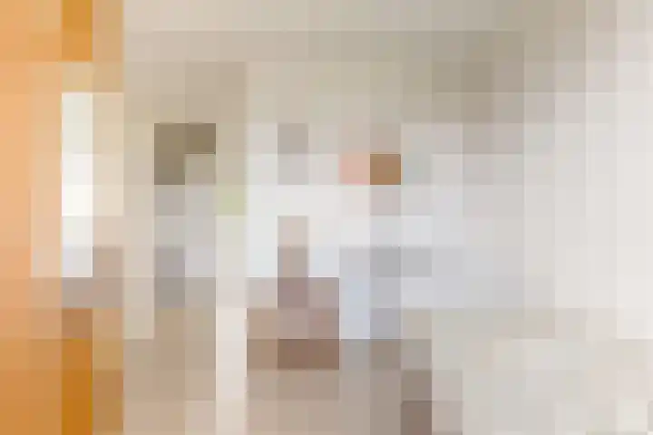 Jodichemdreef 7 Odijk thumbnail 33