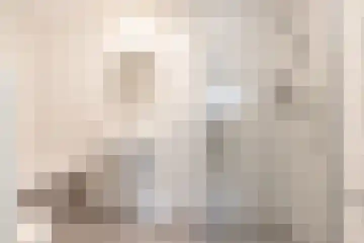 Jodichemdreef 7 Odijk thumbnail 34