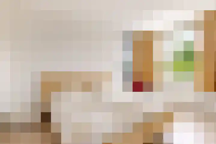 Jodichemdreef 7 Odijk thumbnail 37