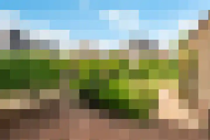 Jodichemdreef 7 Odijk thumbnail 45