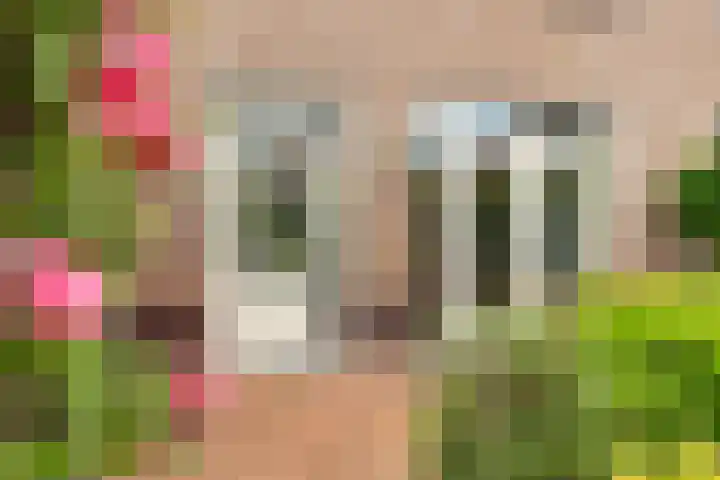 Jodichemdreef 7 Odijk thumbnail 47