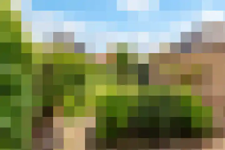 Jodichemdreef 7 Odijk thumbnail 48