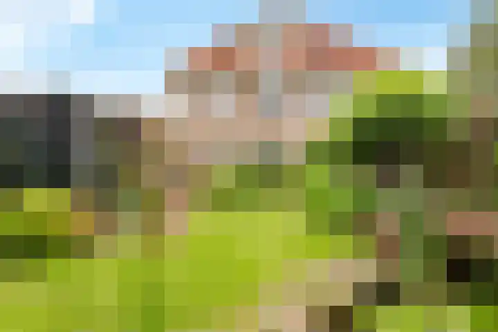 Jodichemdreef 7 Odijk thumbnail 49