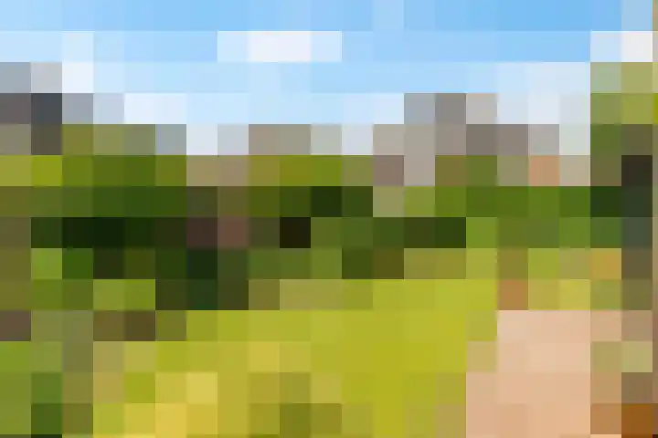 Jodichemdreef 7 Odijk thumbnail 50