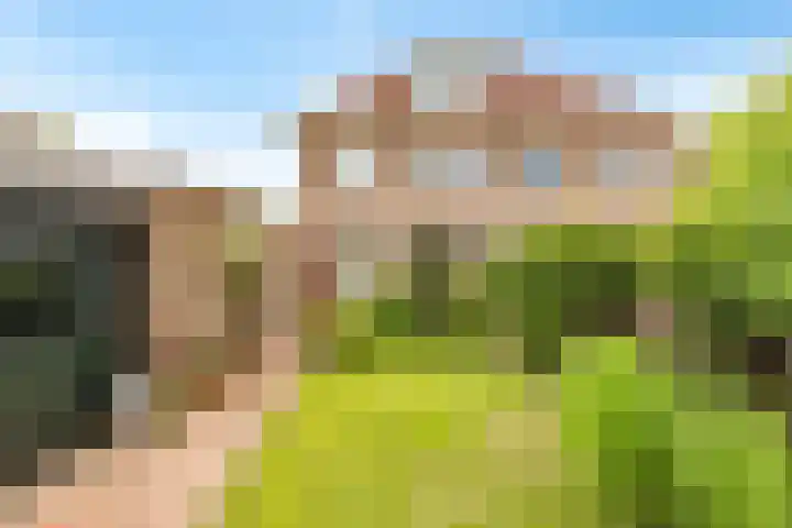Jodichemdreef 7 Odijk thumbnail 51