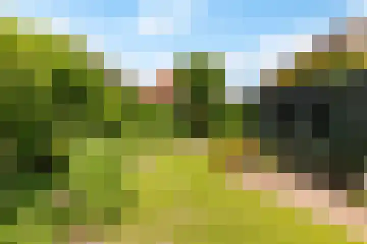 Jodichemdreef 7 Odijk thumbnail 52