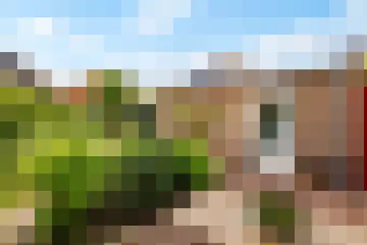 Jodichemdreef 7 Odijk thumbnail 54