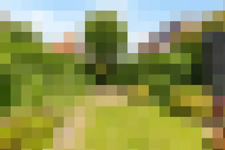 Jodichemdreef 7 Odijk thumbnail 55