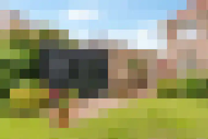 Jodichemdreef 7 Odijk thumbnail 56
