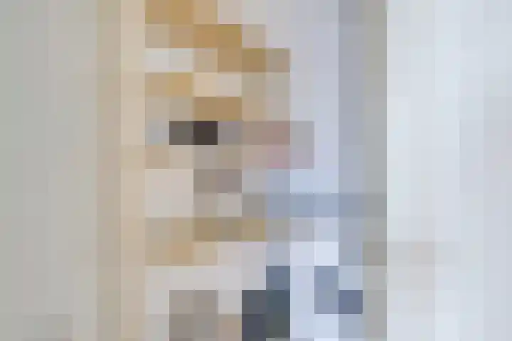 Jodocus van Lodensteinstraat 13 Utrecht thumbnail 10