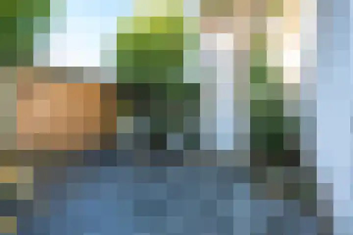 Jodocus van Lodensteinstraat 13 Utrecht thumbnail 29