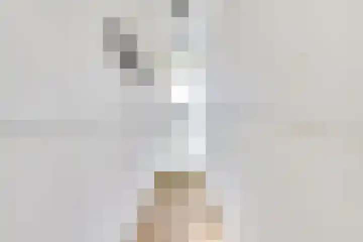 Jodocus van Lodensteinstraat 13 Utrecht thumbnail 6