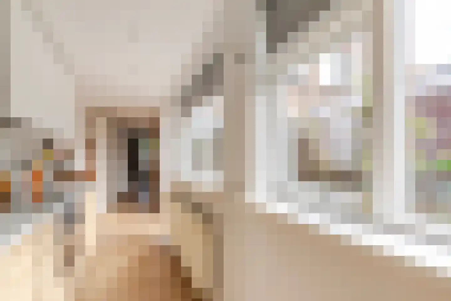 Jodocus van Lodensteinstraat 17 Utrecht thumbnail 16