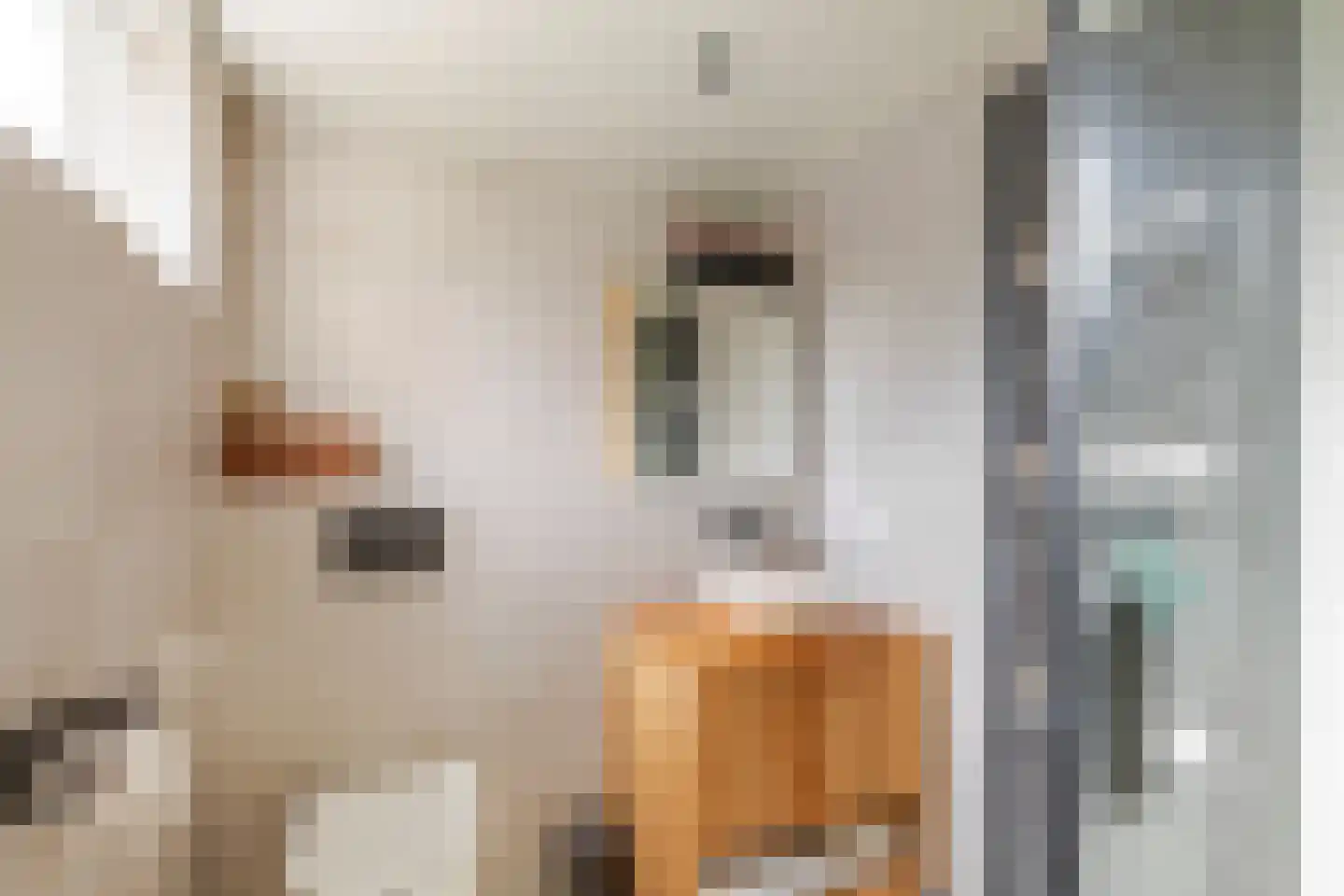 Jodocus van Lodensteinstraat 17 Utrecht thumbnail 18