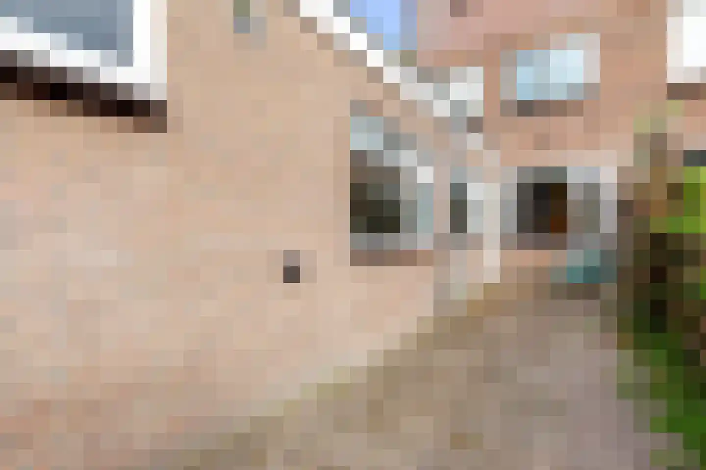 Jodocus van Lodensteinstraat 17 Utrecht thumbnail 21