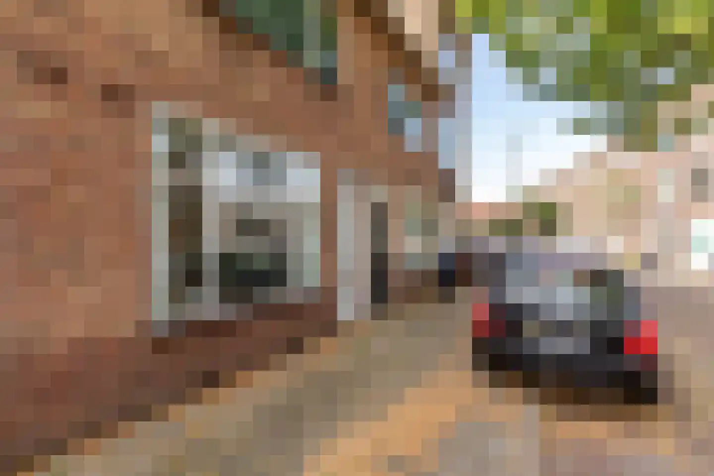Jodocus van Lodensteinstraat 17 Utrecht thumbnail 26