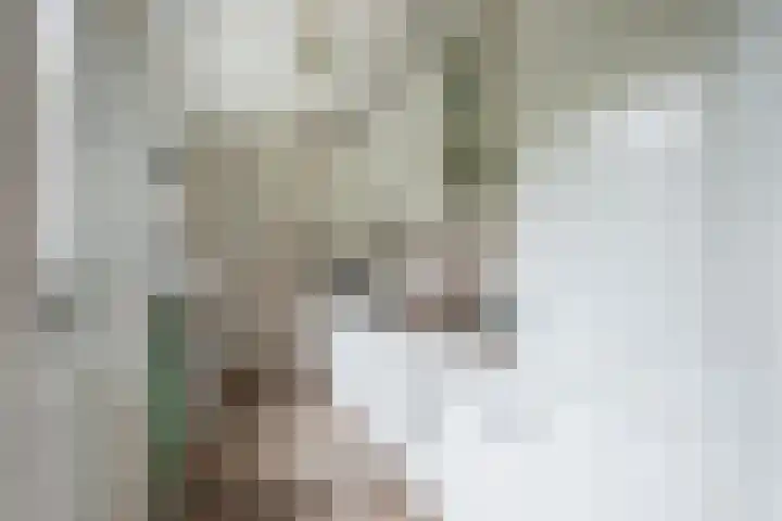 Jodocus van Lodensteinstraat 37 Utrecht thumbnail 10
