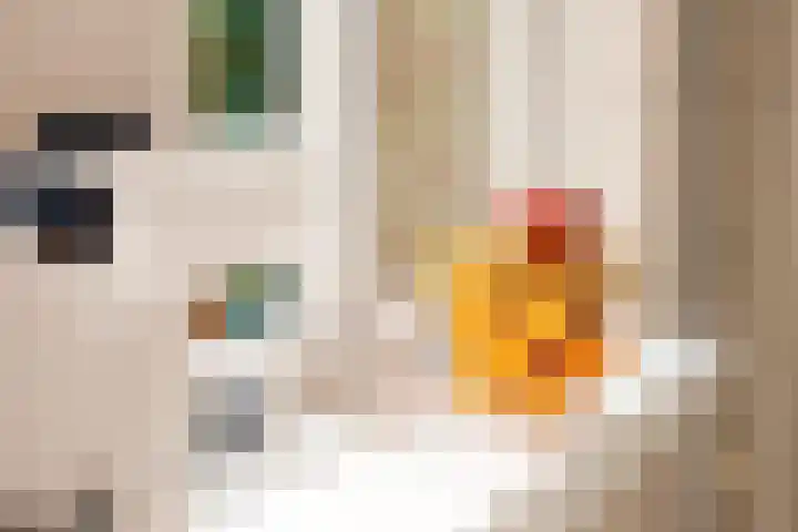 Jodocus van Lodensteinstraat 37 Utrecht thumbnail 11