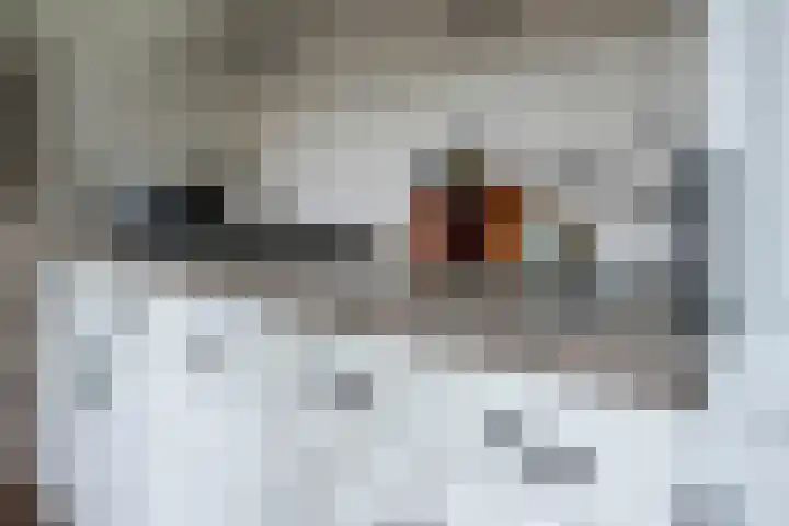 Jodocus van Lodensteinstraat 37 Utrecht thumbnail 13