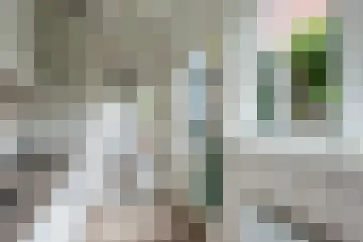 Jodocus van Lodensteinstraat 37 Utrecht thumbnail 18