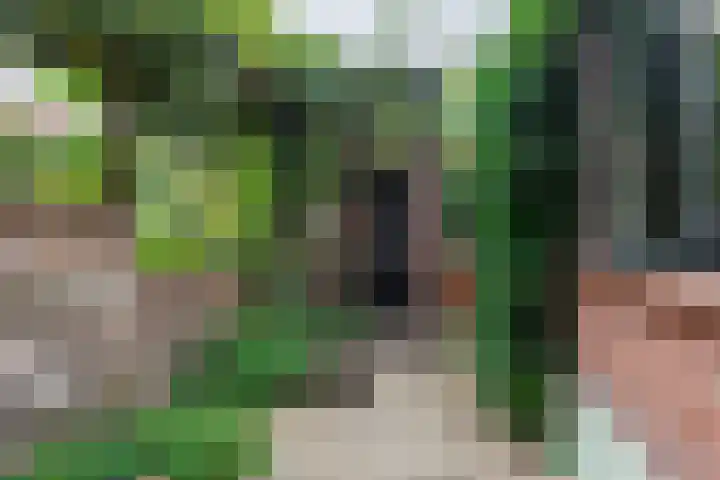 Jodocus van Lodensteinstraat 37 Utrecht thumbnail 19