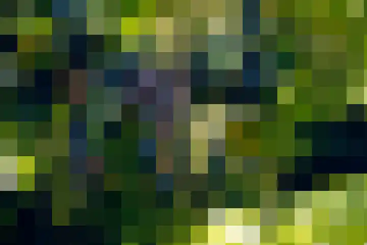 Jodocus van Lodensteinstraat 37 Utrecht thumbnail 20