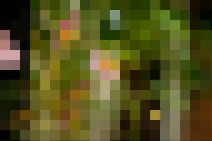 Jodocus van Lodensteinstraat 37 Utrecht thumbnail 21