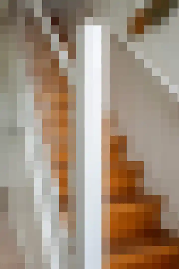 Jodocus van Lodensteinstraat 37 Utrecht thumbnail 25
