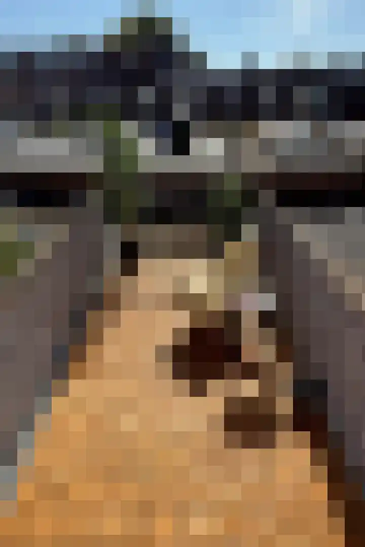 Jodocus van Lodensteinstraat 37 Utrecht thumbnail 34