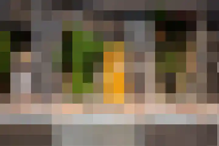 Jodocus van Lodensteinstraat 37 Utrecht thumbnail 36