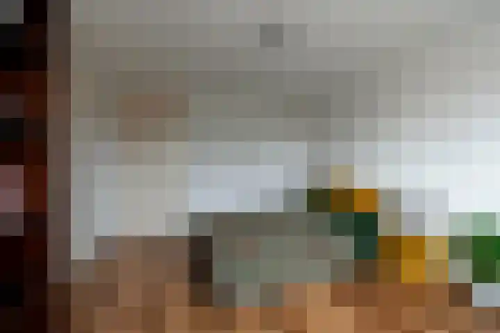 Jodocus van Lodensteinstraat 37 Utrecht thumbnail 39