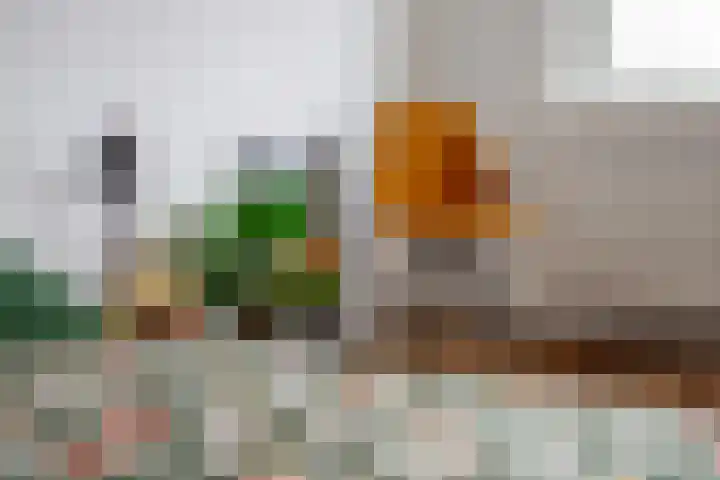 Jodocus van Lodensteinstraat 37 Utrecht thumbnail 40