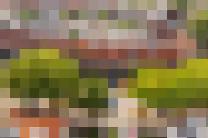 Jodocus van Lodensteinstraat 37 Utrecht thumbnail 48