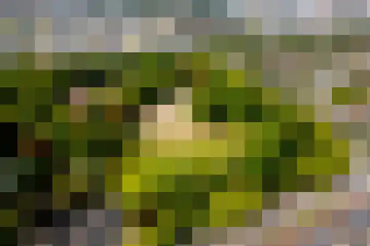 Jodocus van Lodensteinstraat 37 Utrecht thumbnail 49