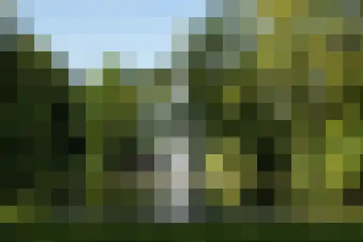 Jodocus van Lodensteinstraat 37 Utrecht thumbnail 50